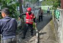 Pohon Lapuk Timpa Rumah Warga Klandasan Balikpapan, Brimob Sigap Evakuasi