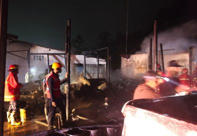 Brimob Kaltim Bergerak Cepat, Tim Respon Bencana Kompi 3 Batalyon C Pelopor Taklukkan Api di Gunung Tabur