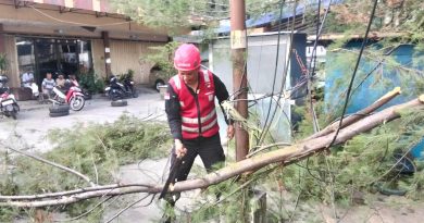 Brimob Respons Cepat Evakuasi Pohon Tumbang di Rapak Balikpapan
