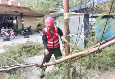 Brimob Respons Cepat Evakuasi Pohon Tumbang di Rapak Balikpapan