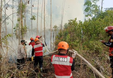 Cegah Bahaya Karhutla, Tim Respons Bencana Kompi 3 Batalyon C Pelopor Koordinasi Pemadaman Lahan di Berau